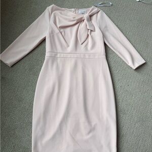 Calvin Klein Blush Long Sleeve Dress